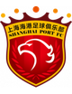 上海海港U21logo