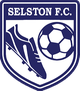 塞尔斯顿logo