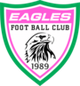 鹰队logo