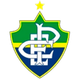 帕莱索EC女足logo